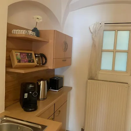 Апартаменты Center Golden Roof 4 Инсбрук